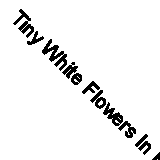 Tiny White Flowers In Mason Jar & Butterflies Flying Around When Someone W...